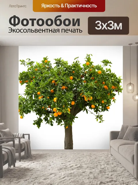Фотообои Природа