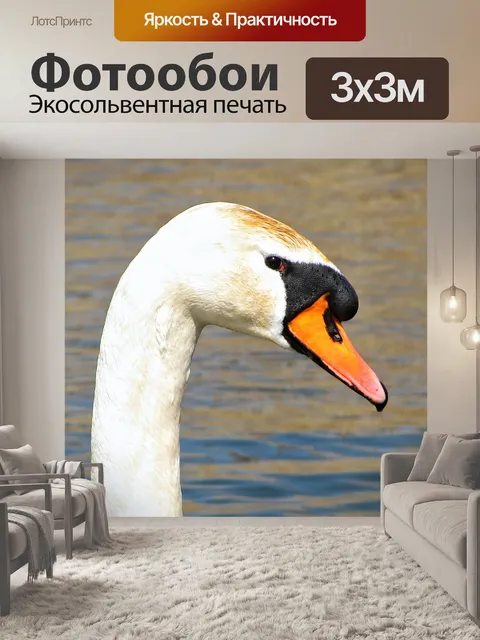 Фотообои Лебедь