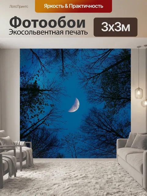 Фотообои Луна