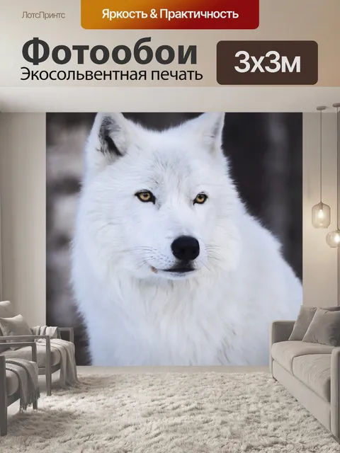Фотообои Белый волк