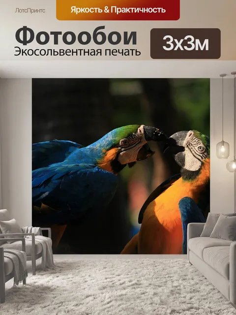 Фотообои Синие и желтые ара