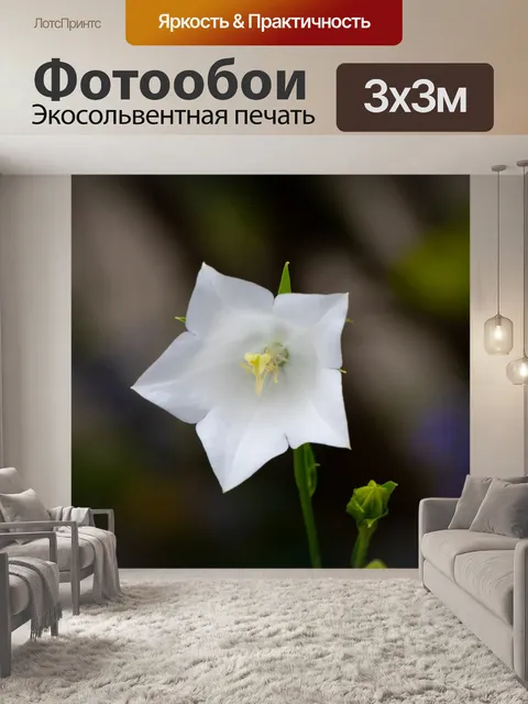 Фотообои Цвести