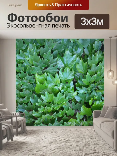 Фотообои Зеленый плющ покрывающий стену