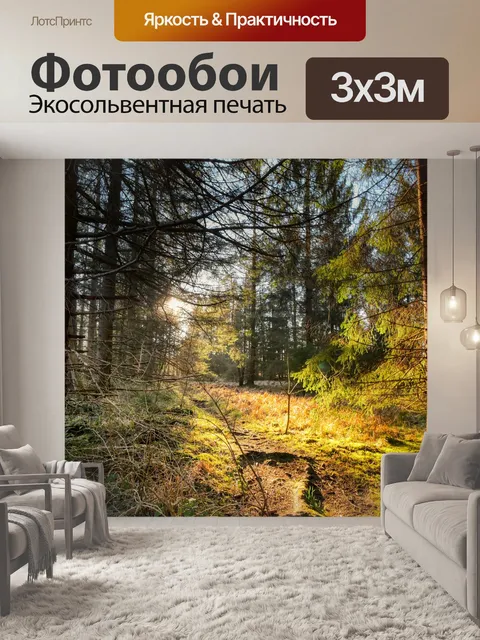 Фотообои Дорожка