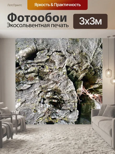 Фотообои Пень