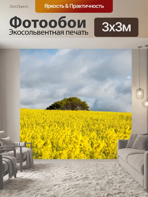Фотообои Область желтого рапса