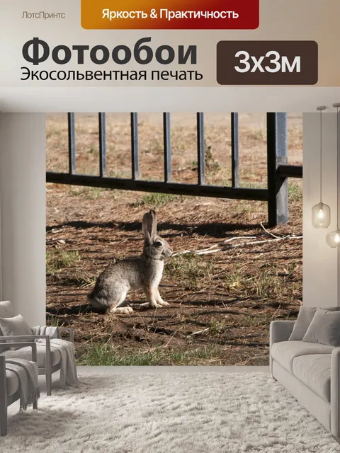 Фотообои Кролик