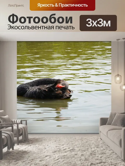 Фотообои Черный лебедь Series 2 водный балет 6