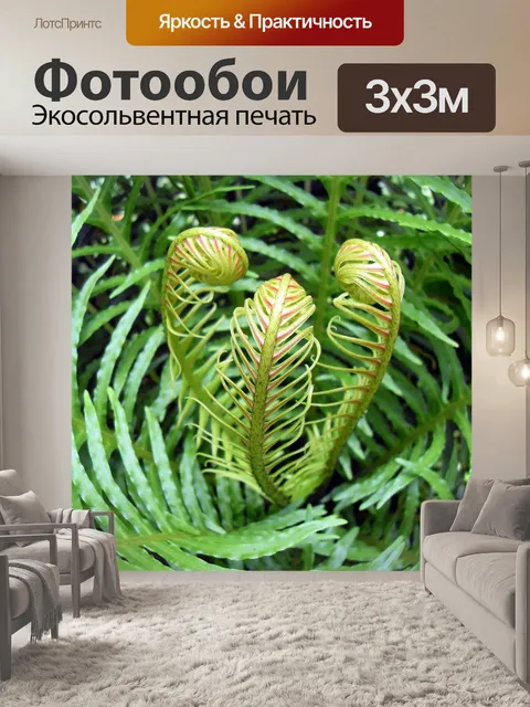 Фотообои Папоротник