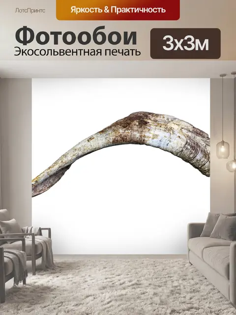 Фотообои Рог