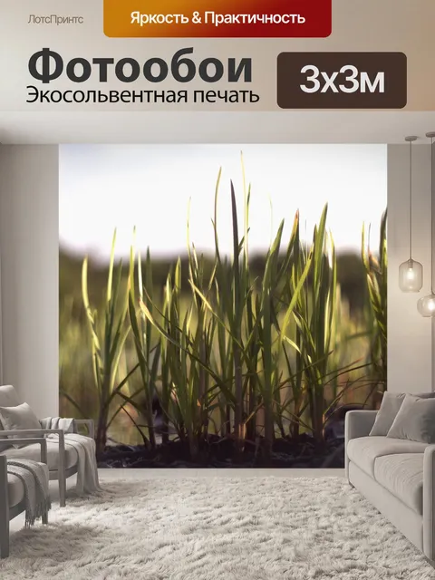 Фотообои Трава