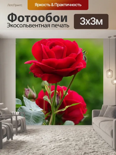 Фотообои Розы
