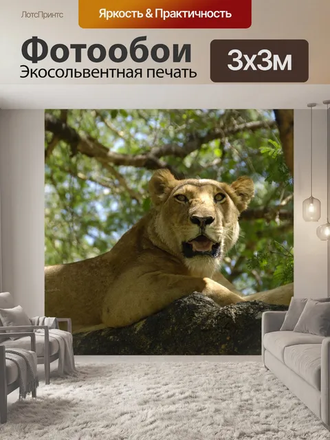 Фотообои Львица