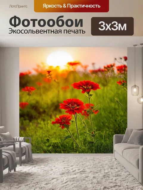Фотообои закат в уединенном месте
