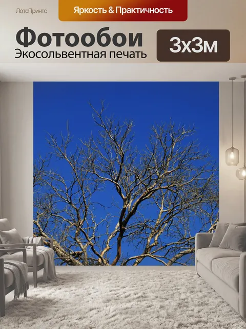 Фотообои мертвое дерево и голубое небо
