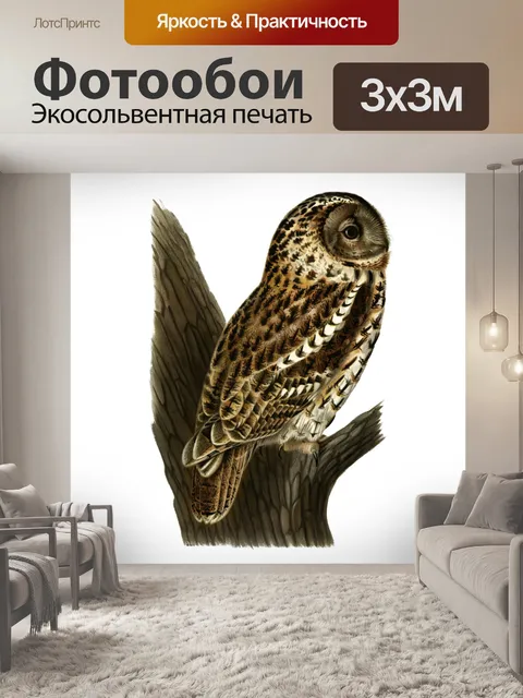 Фотообои Винтажная иллюстрация совы