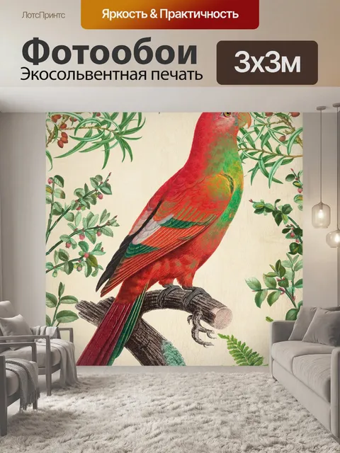 Фотообои Попугай старинный художественный плакат