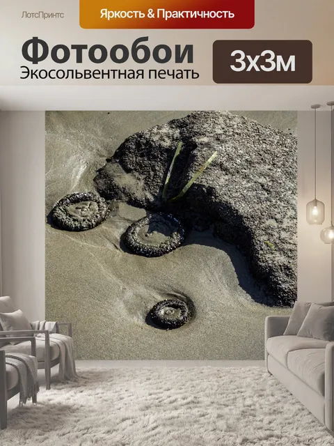 Фотообои морские анемоны