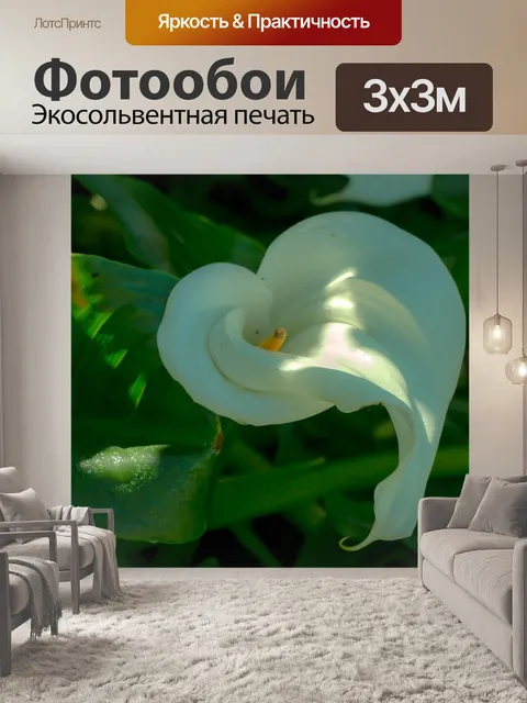 Фотообои Цветы