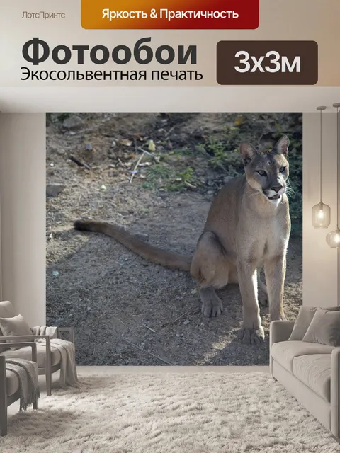 Фотообои Дикая кошка