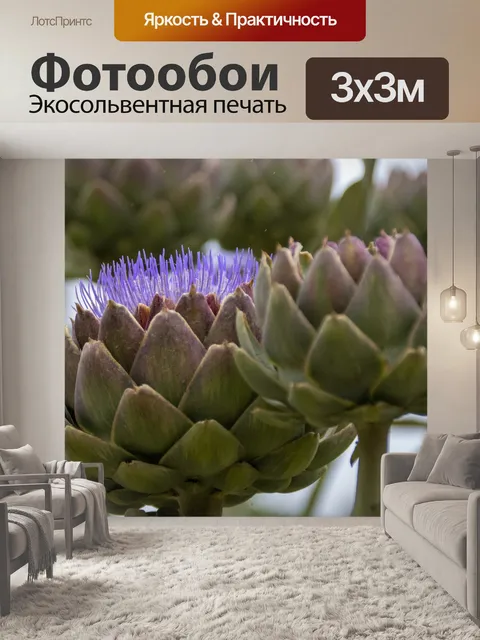 Фотообои цветущий артишок