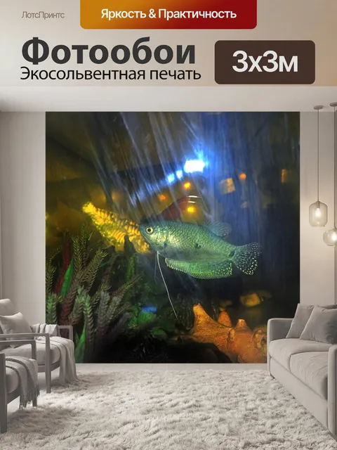 Фотообои Рыба гнездо 2