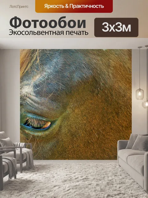 Фотообои коричневый лошадь глава закрыть