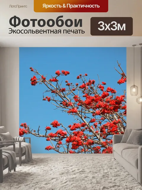 Фотообои красные цветы эритроны