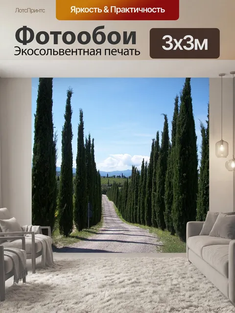 Фотообои Кипарис