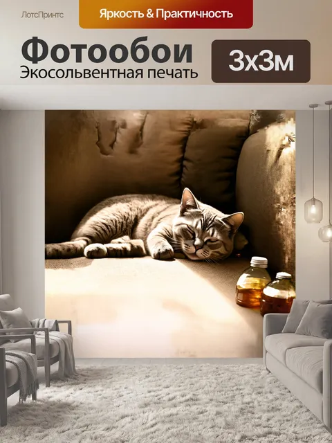 Фотообои британская короткошерстная кошка