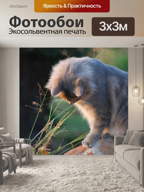 Фотообои Кошка