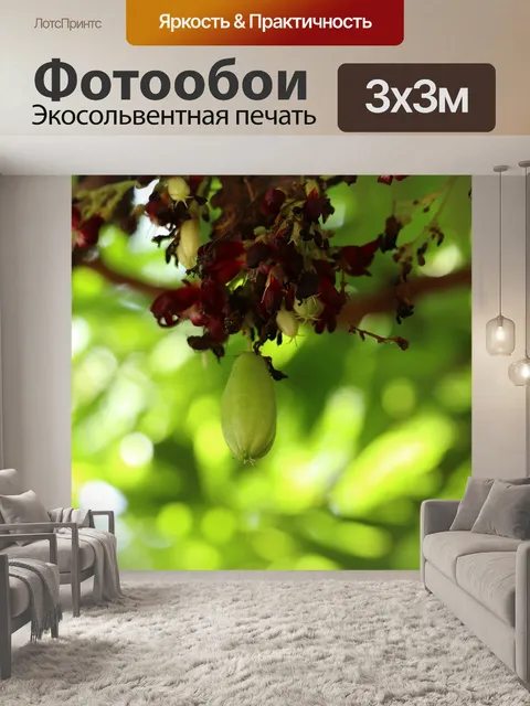 Фотообои Фрукты