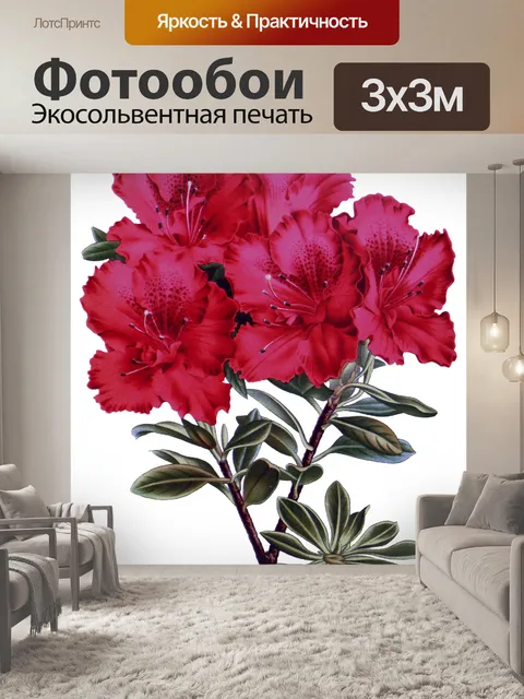 Фотообои Азалия цветок винтажное искусство