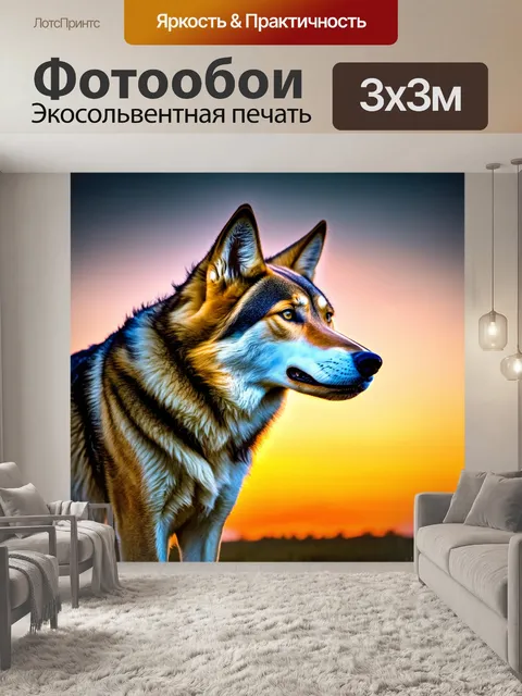 Фотообои закат на горизонте, волчица во взглядом на горизонт