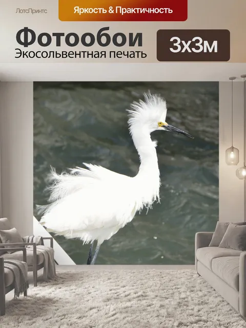 Фотообои Снежная белая цапля