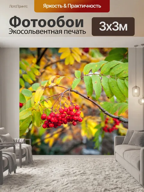 Фотообои Рябина