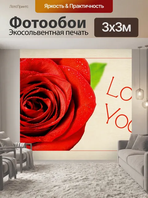 Фотообои Открытка с розой Привет