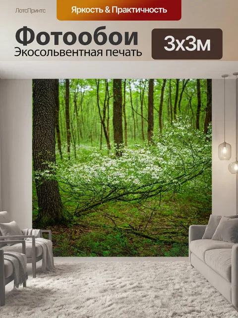 Фотообои лес с цветами, растущими на ветвях деревьев, создающих живописный вид