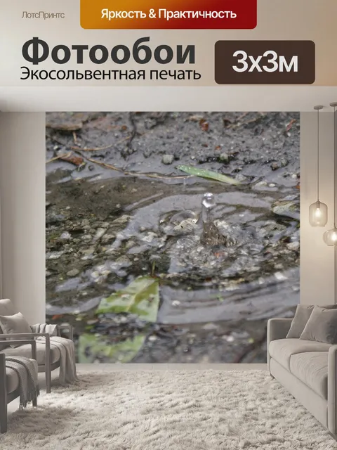 Фотообои Дождь