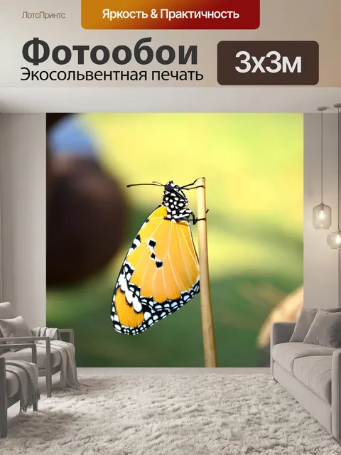 Фотообои Синий тигр бабочка