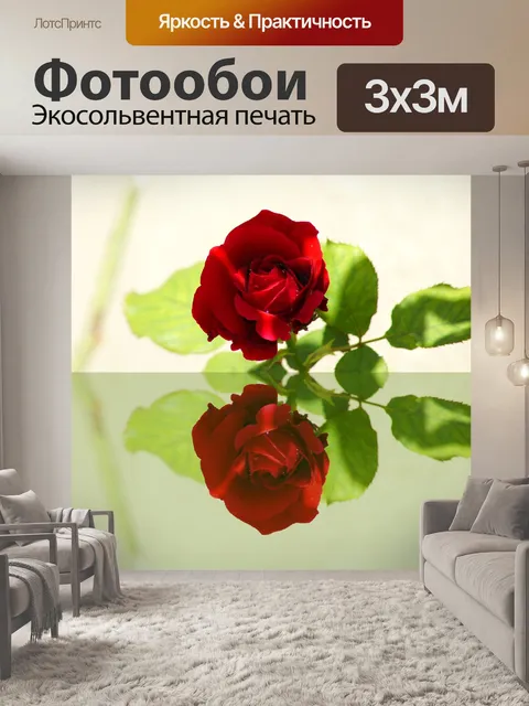 Фотообои Красная роза