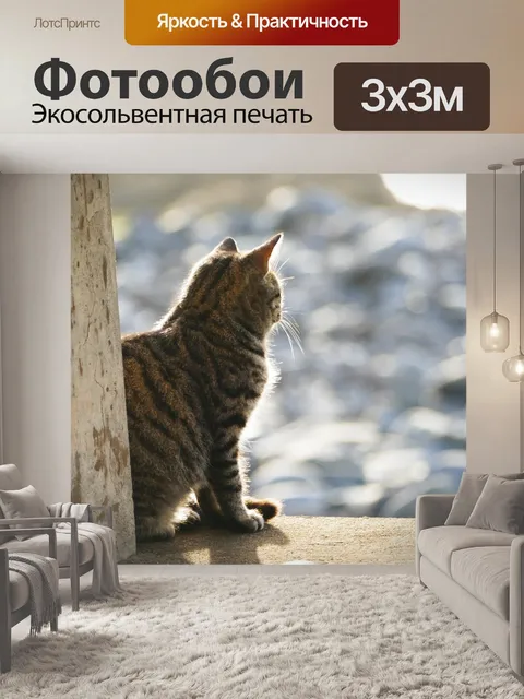 Фотообои Кошка