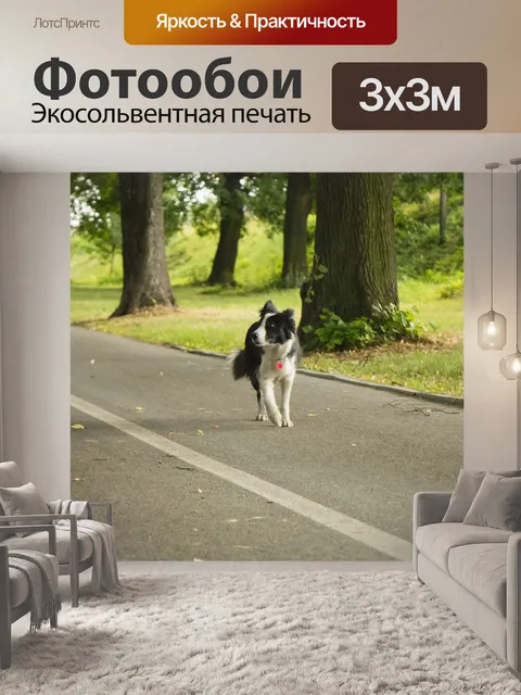 Фотообои Парк