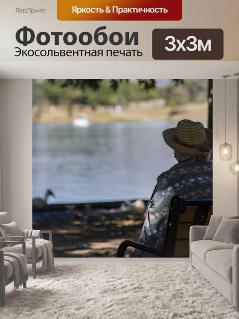 Фотообои Старшие наблюдающие утки