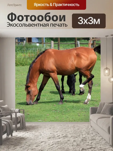 Фотообои Выпас лошадей