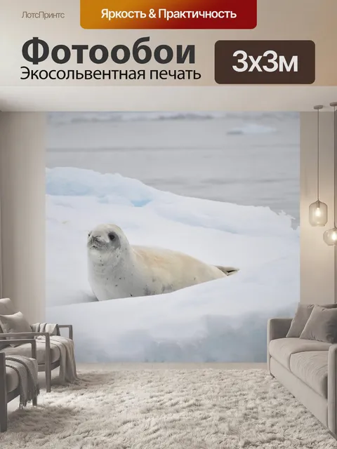 Фотообои Белый
