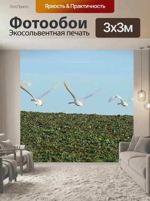 Фотообои Птицы