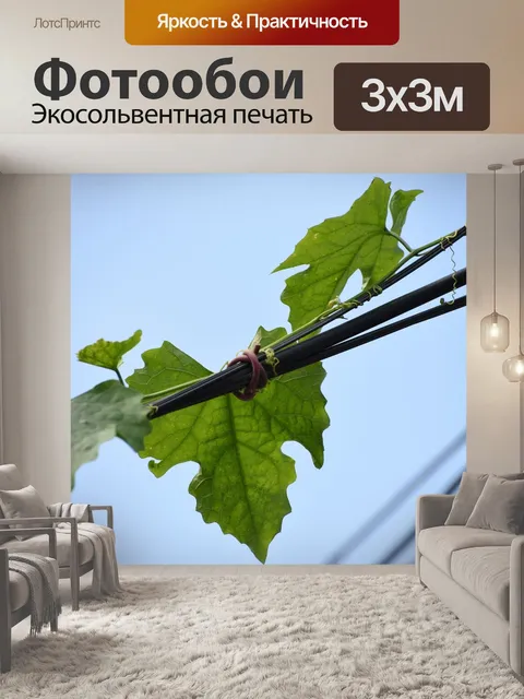 Фотообои Голубое небо