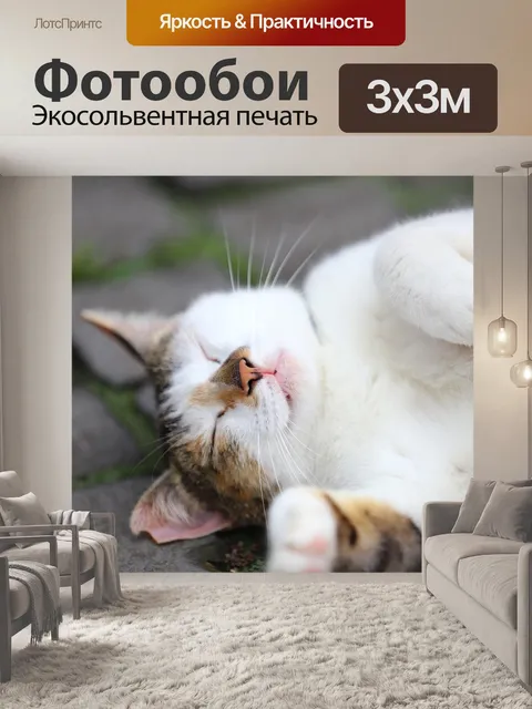 Фотообои Кошка