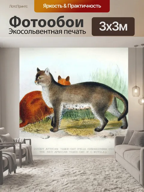 Фотообои Кошка большая кошка старинное искусство